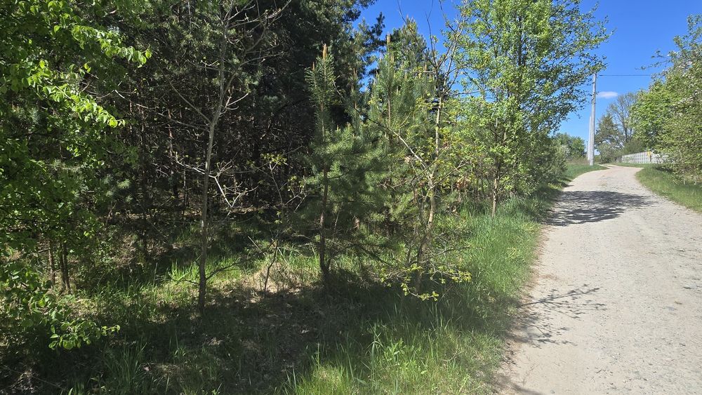 Дениші 17,5 сот. під забудову.(26161757)