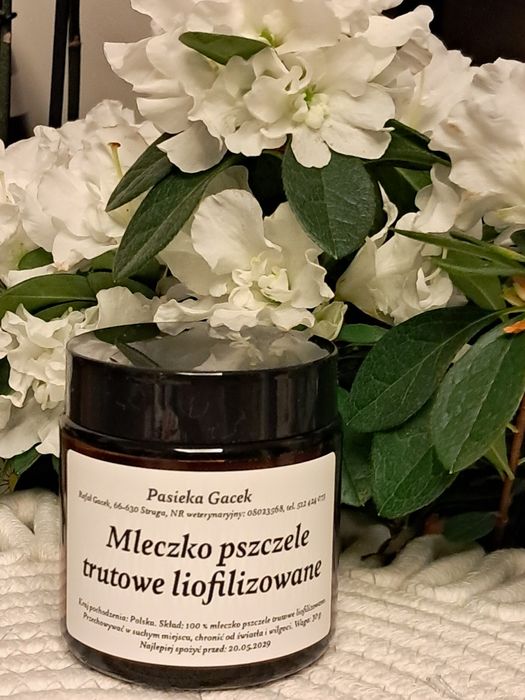 Mleczko pszczele trutowe liofilizowane