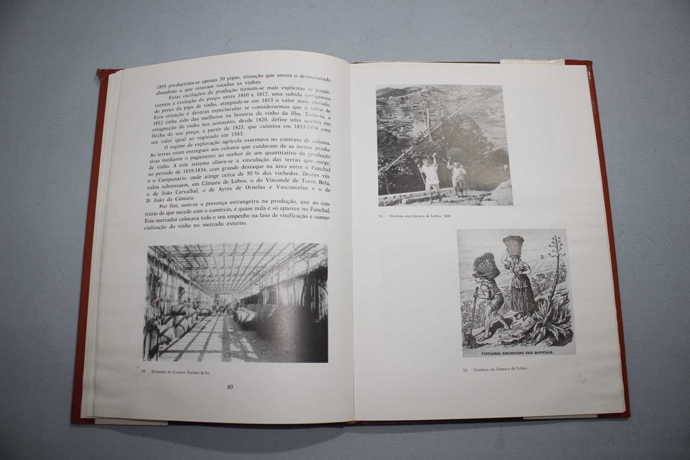 Livro - Breviário da Vinha e do Vinho na Madeira - Alberto Vieira