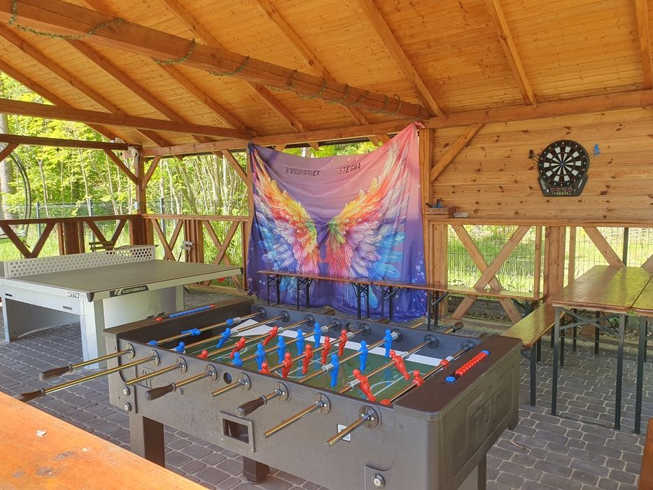 Domki letniskowe, basen, plac zabaw,  zwierzęta mile widziane