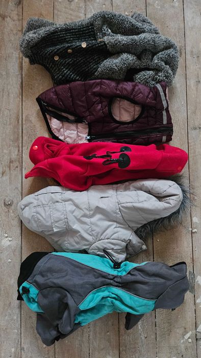 Ubranka / ubrania dla psa / psow