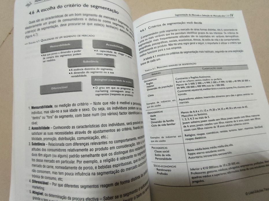 Livro: Marketing para Empreendedores e Pequenas Empresas