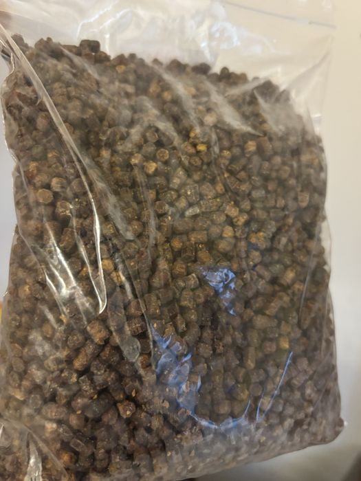 Pierzga pszczela 1000g DOSTAWA