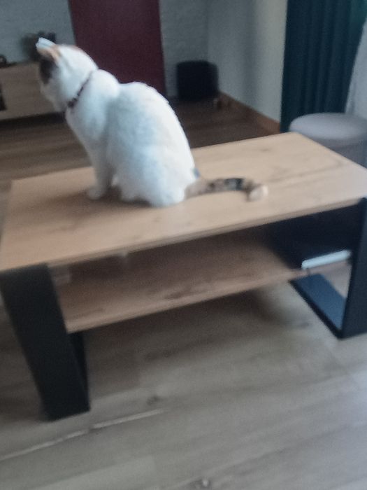 Ława do porannej kawki