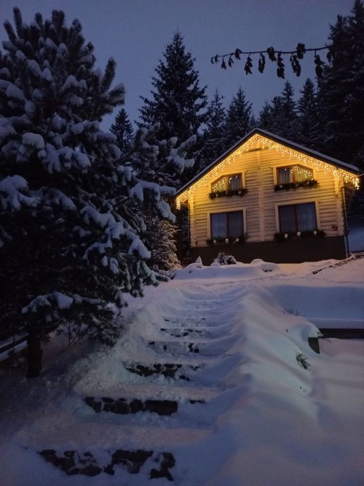 Котедж "Шепіт лісу"