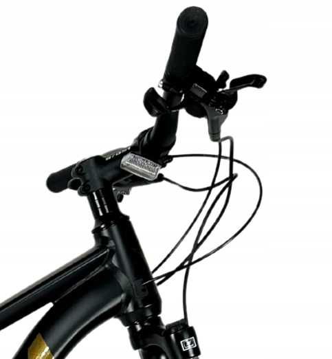 ROWER GÓRSKI MTB STORM SHARK LADY 2.0, 18"(czarno-złoty)