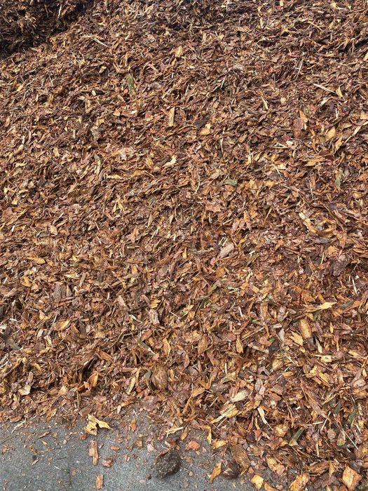 Kora Sosnowa średnio gruba do ściółkowania Próchnica do zakwaszania