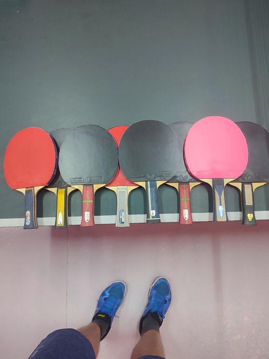 Butterfly sk7 Fan-Zhendong super alc -Peter Korbe Maze offl