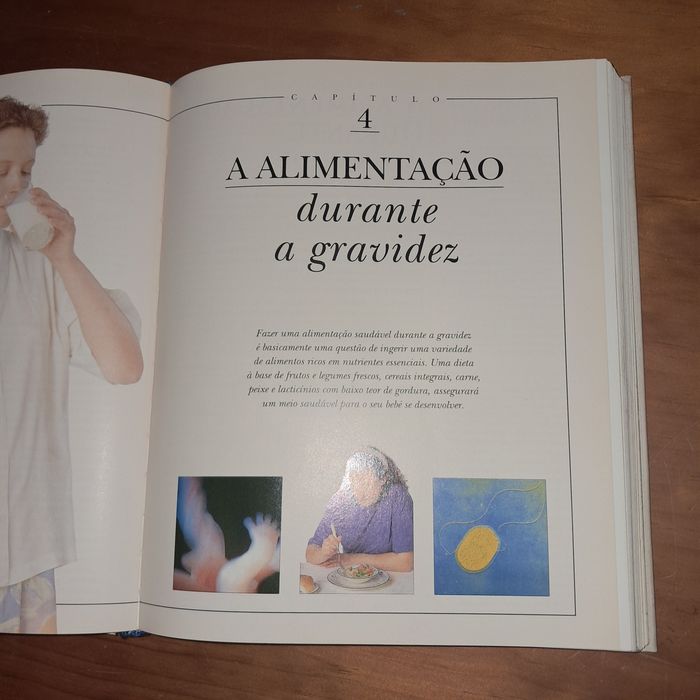O Grande livro da Gravidez