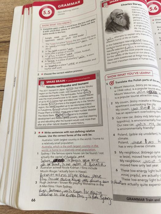 Focus 3 zeszyt ćwiczeń