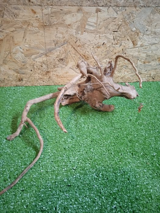 Korzeń do akwarium Red Moore Wood nr 168 o wymiarach 26/30/28