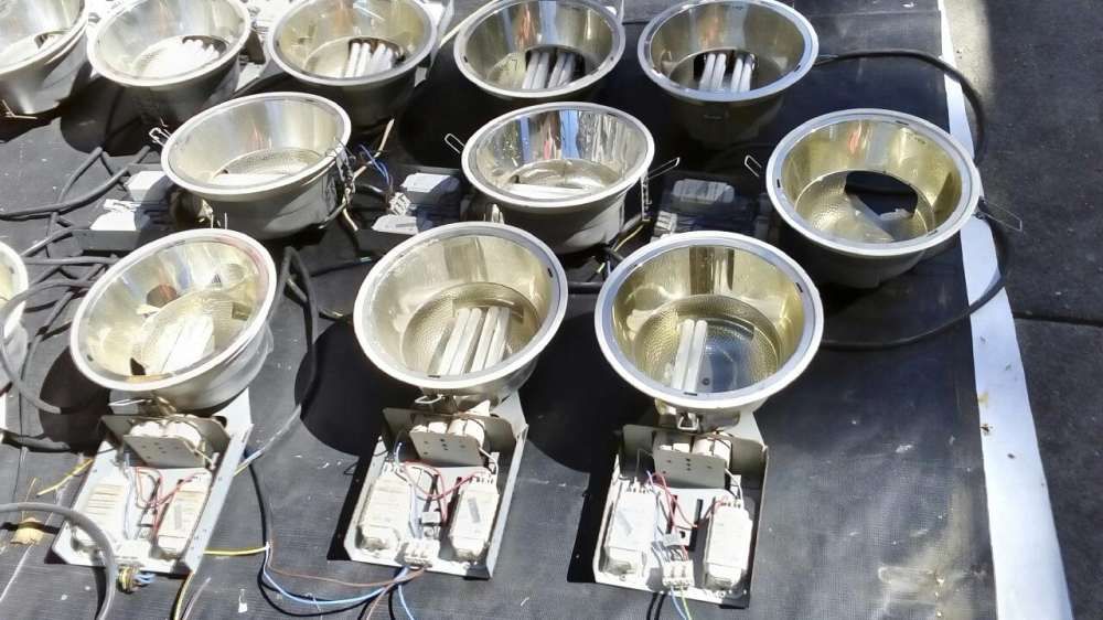 Lote de focos italianos vendo ou troco