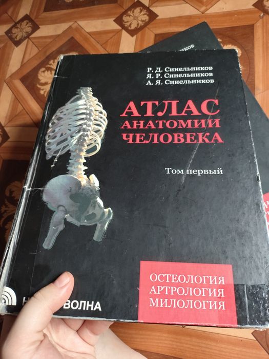 Комплект атласов анатомии человека Синельников  в 4-х томах  2012 год  Анатомія людини атлас