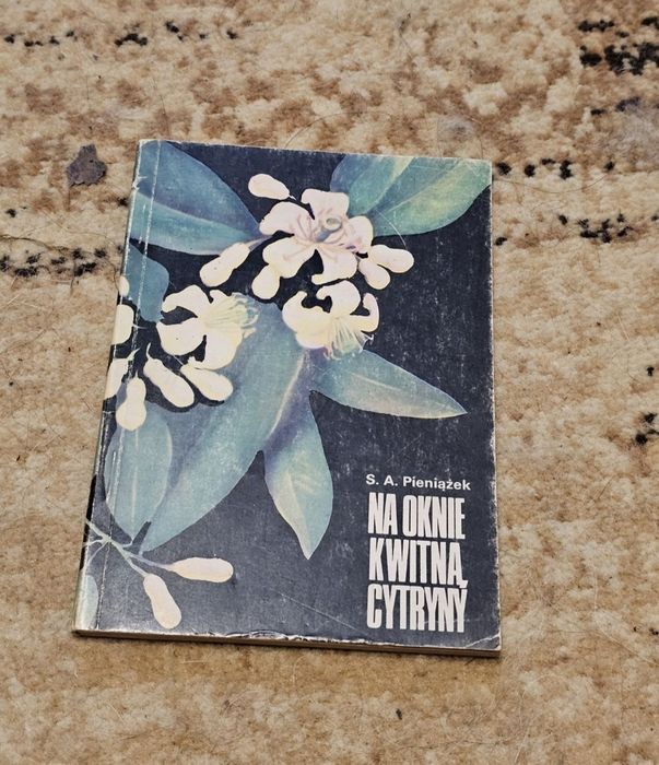 Książka na Oknie kwitną cytryny rok 1982 za 11 zł