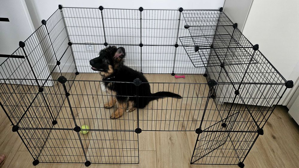 Sprzedam kojec dla psa