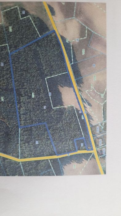 Nieruchomość leśna, las