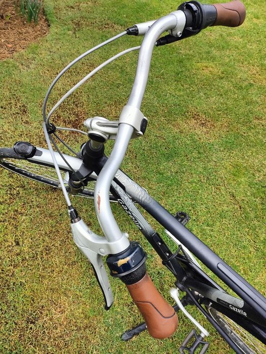 Rower gazelle męski