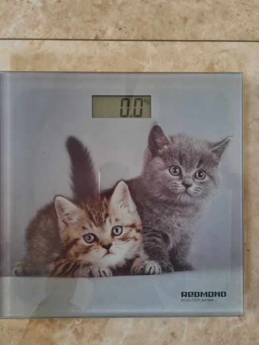 Весы напольные: Redmond RS-735 и Domotec MS-1604