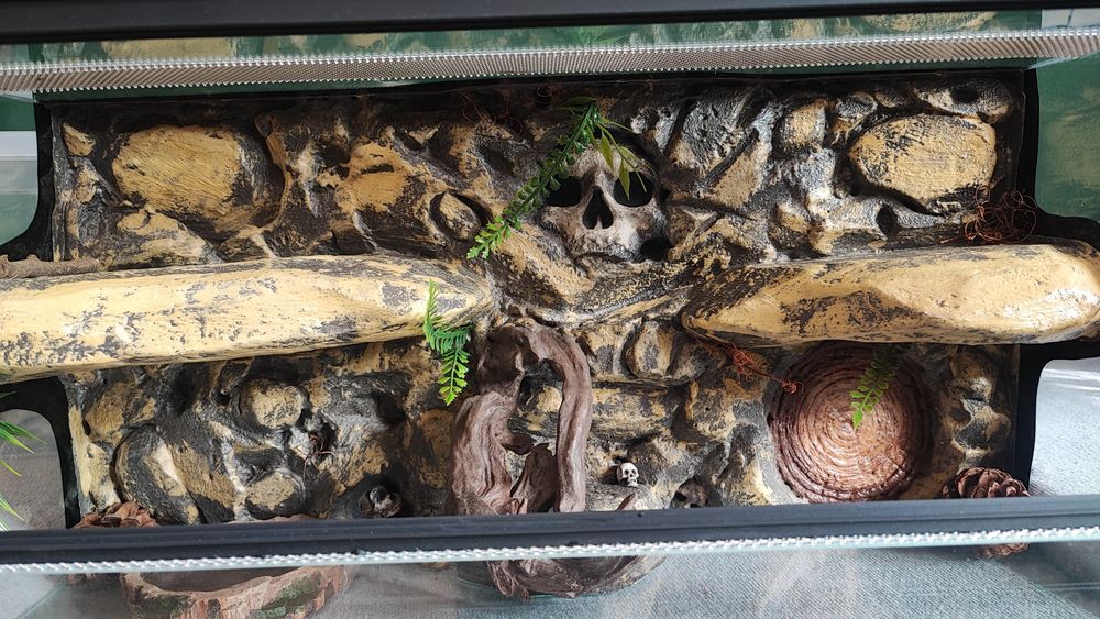 Terrarium na zamówienie