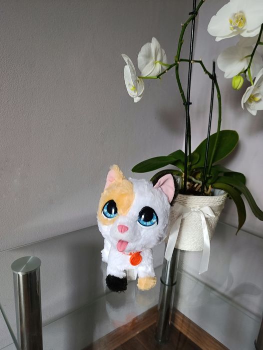 Іграшка миле кошеня