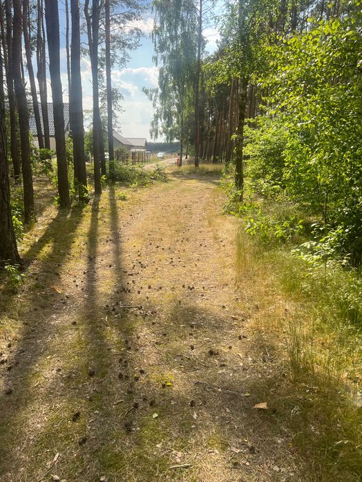 Piękna działka przy lesie - wszystko przygotowane pod budowę