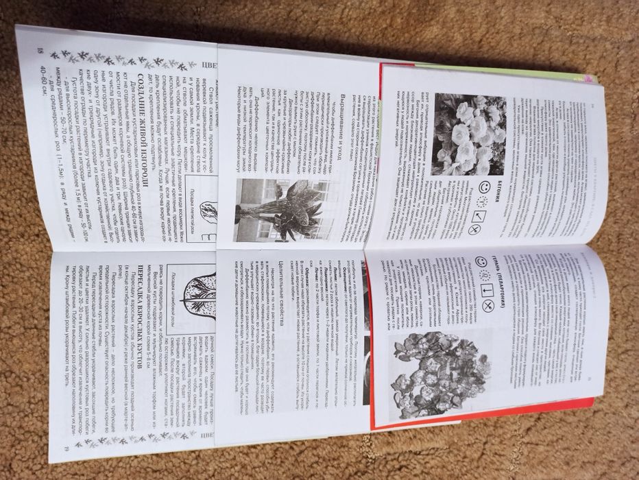 Книжки квіти троянди розы кімнатні рослини целебные растения целители