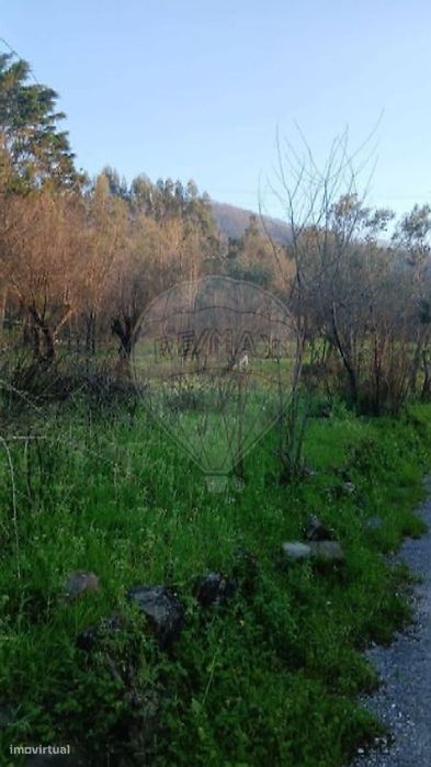 Terreno  para venda — Serpins, Coimbra