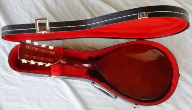 Bandolim sunburst e estojo novos