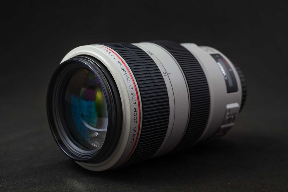 Canon EF 70-300mm f4-5.6L IS USM