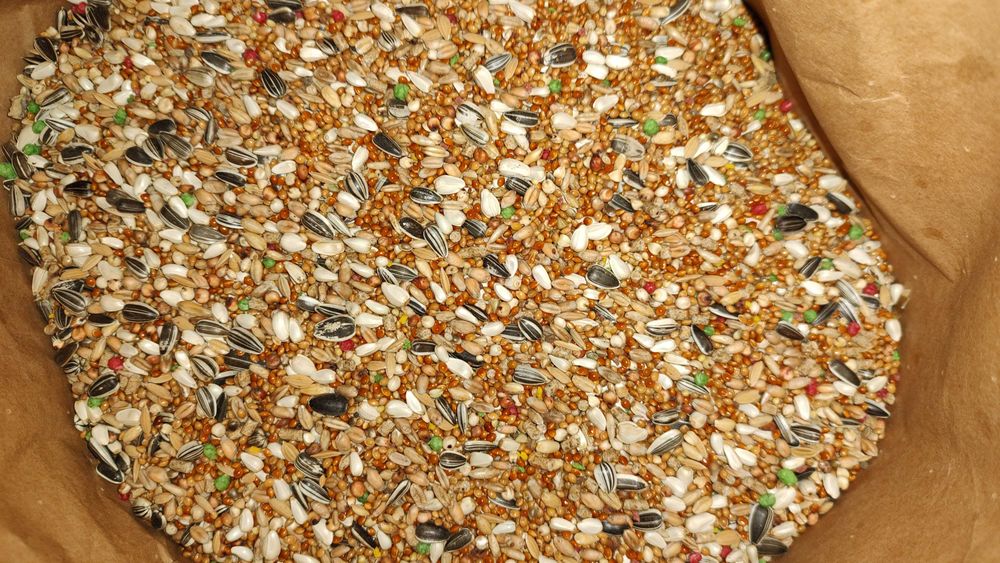 Karma dla Papug średnich + Papug Dużych Kampol 20 kg