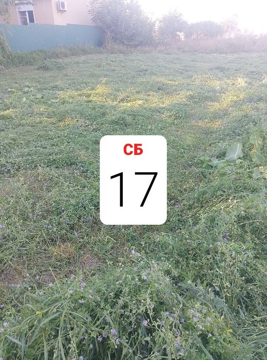Продам сіно 2024