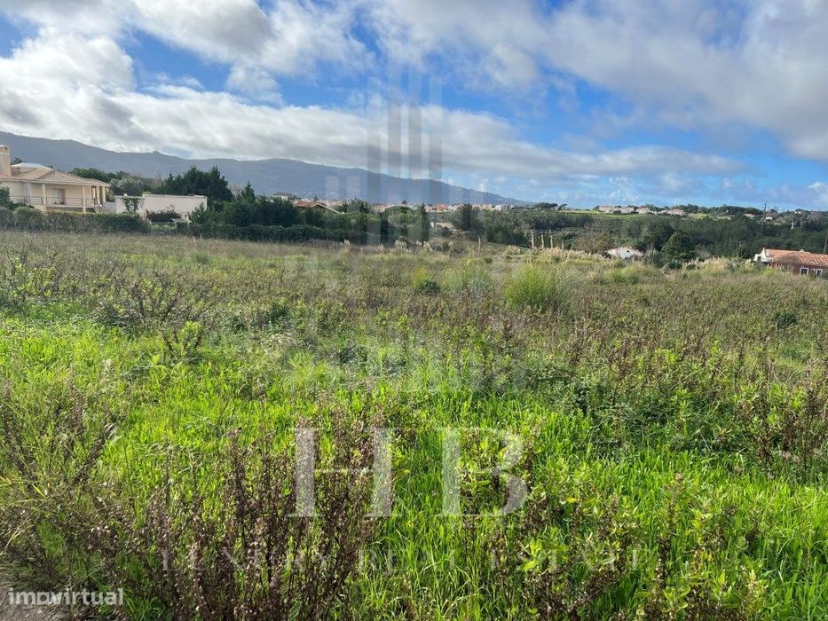 Construction Plot 5002m² | Casal da Granja | Sintra