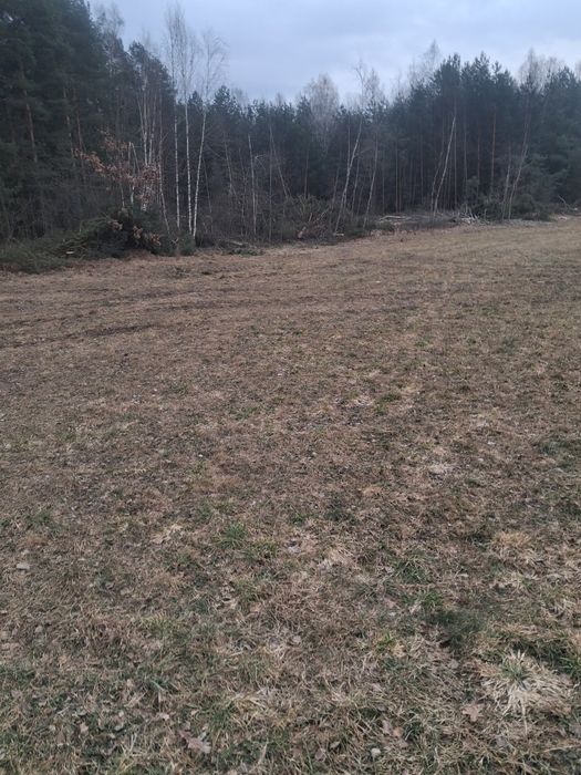 Sprzedam działkie rolna i las po zrebie