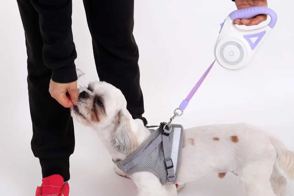 Поводок для собак с фонариком и LED подсветкой