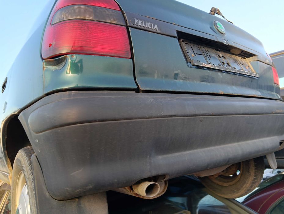 Skoda  Felicja  Na Elementy