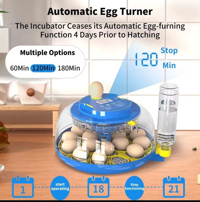 Incubadora / Chocadeira 18 Ovos Automática - Nova
