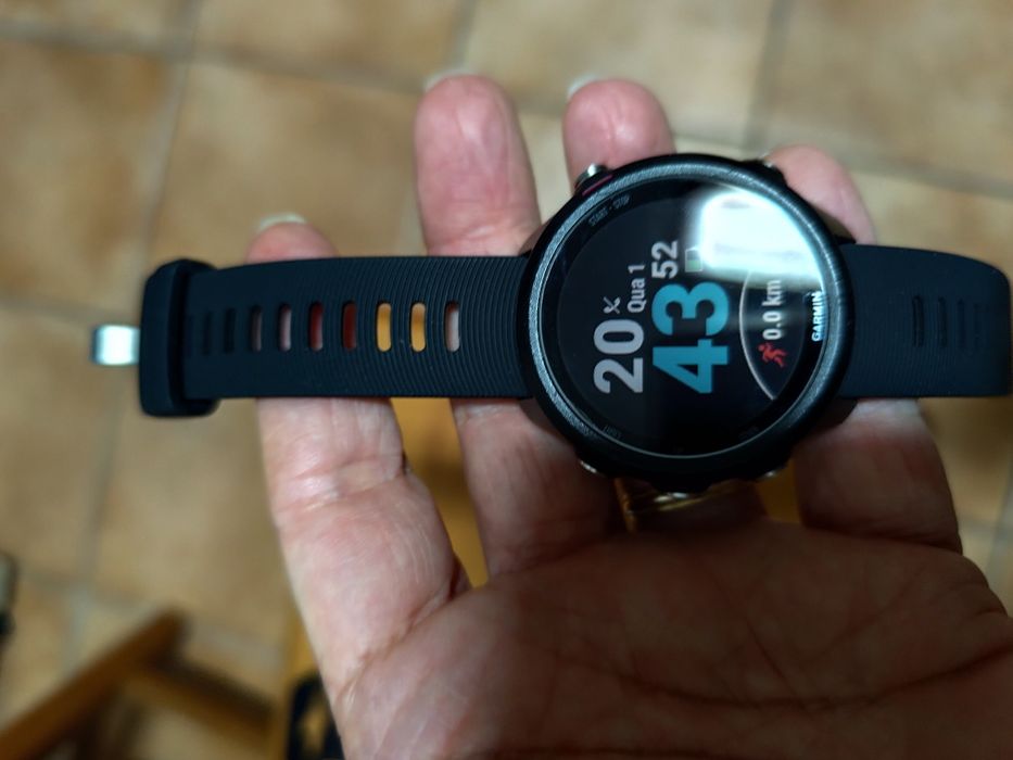 Garmin Forerunner 245 Aceito Retomas
