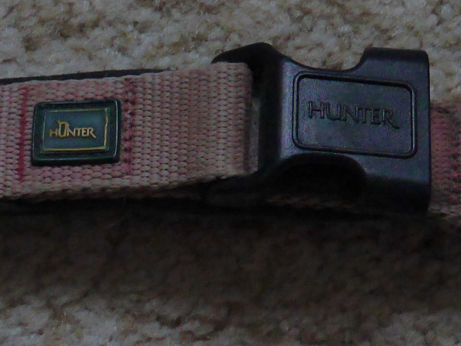 Нашийник на собаку на обхват штї 48-55 см Hunter