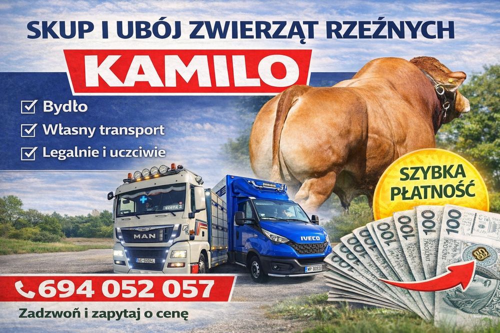 Skup i ubuj bydla rzeznego i hodowlanego