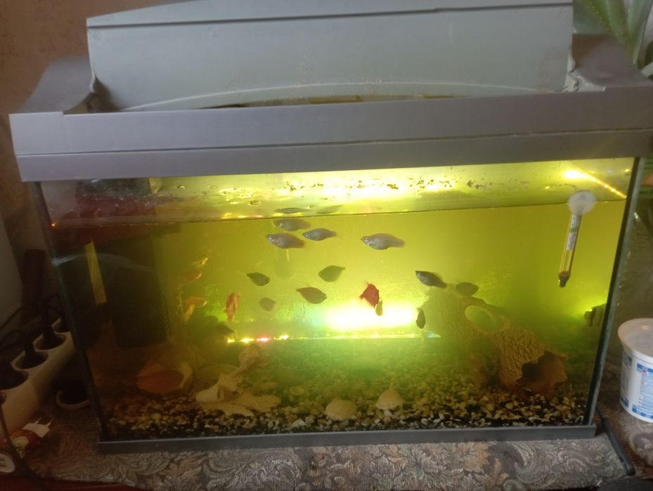 Продам аквариум с крышкой