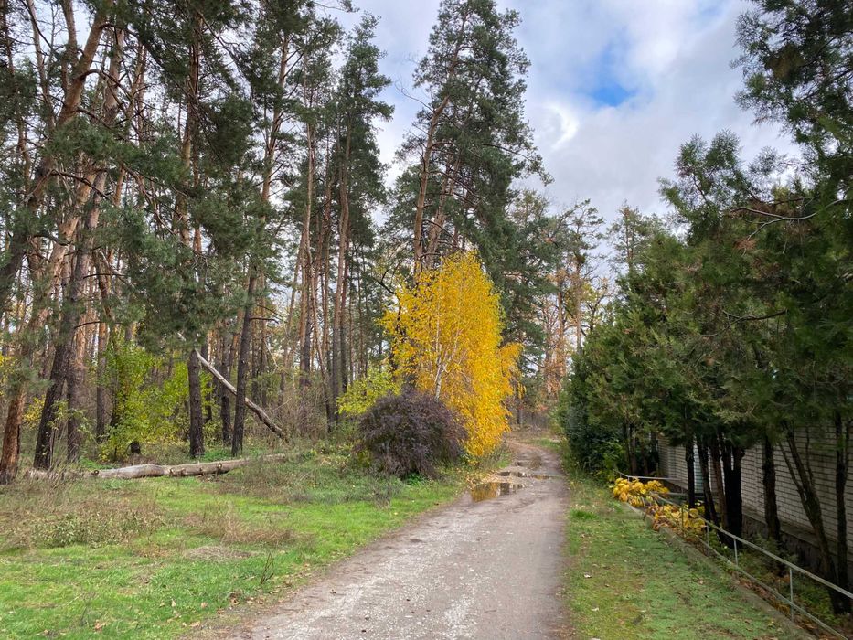 Земля для будівництва 30 сот, під лісом. Передмістя Черкас Геронимівка