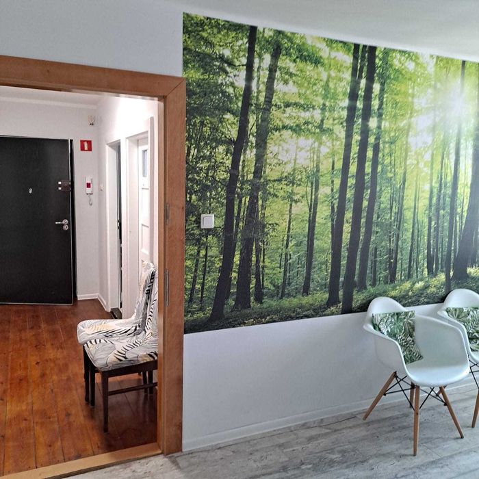 Fajny lokal biurowo-usługowy z balkonem w centrum Opola 19,6 m2