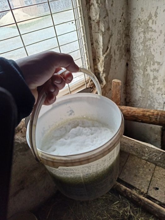 MLEKO KOZIE świeże SERY ekologiczne naturalne produkty od kóz kozy