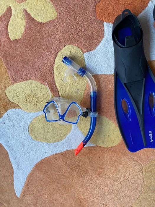 Snorkel e barbatanas