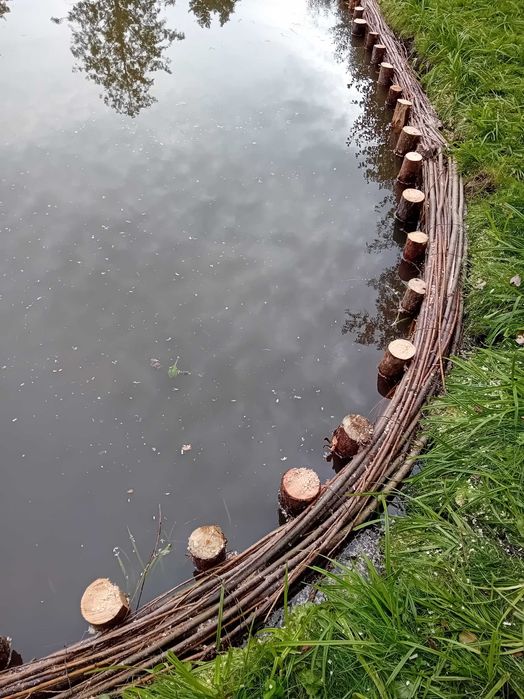 Faszynowanie nabrzeży stawów,rzek, strumyków,jezior, cieków wodnych.