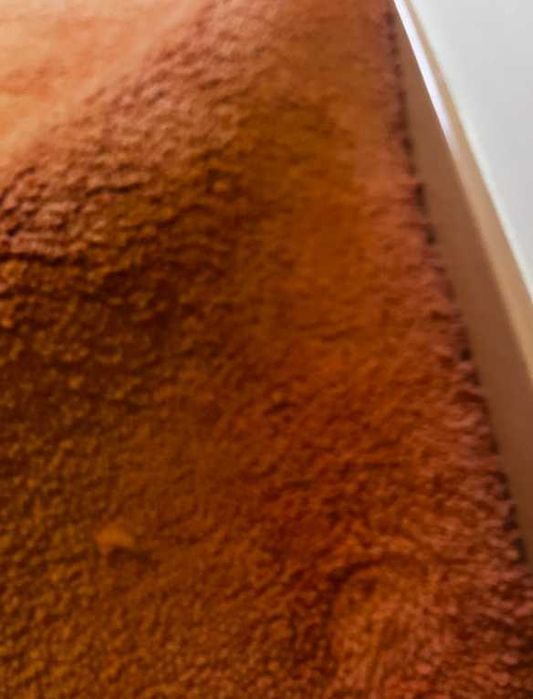 Carpete Laranja com 200x300 mts da Loja Área