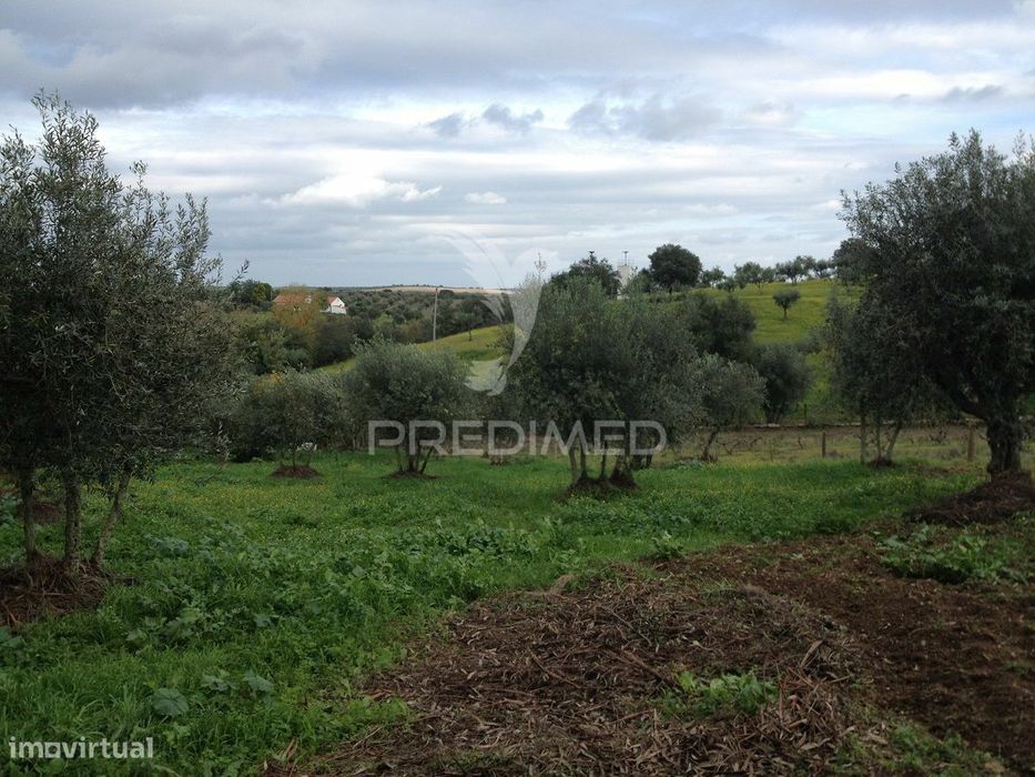 Monte Alentejano em Avis