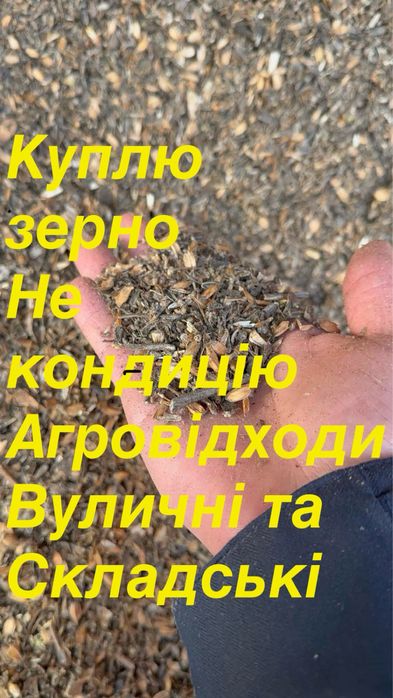 Куплю зерно некондицію отходи зерна