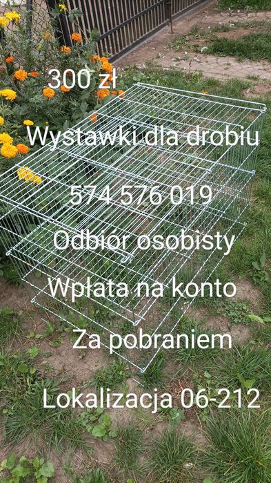 * Wystawki * klatki  dla drobiu