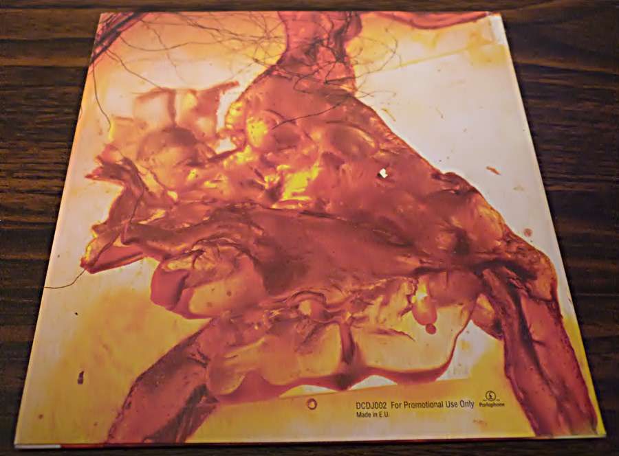 CD «The Divine Comedy - Love What you do»
